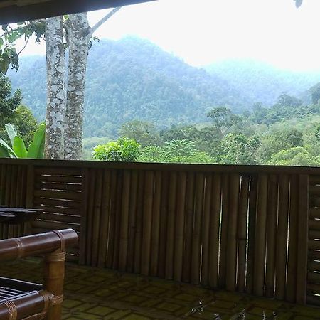 Hotel Batu Kapal Jungle Houses Berastagi Exterior foto