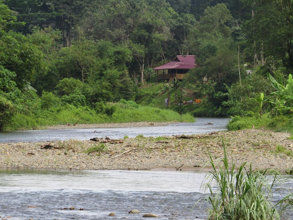 Hotel Batu Kapal Jungle Houses Berastagi Zimmer foto