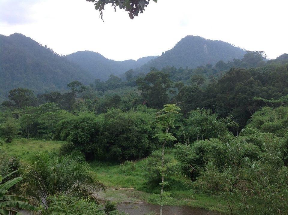 Hotel Batu Kapal Jungle Houses Berastagi Exterior foto