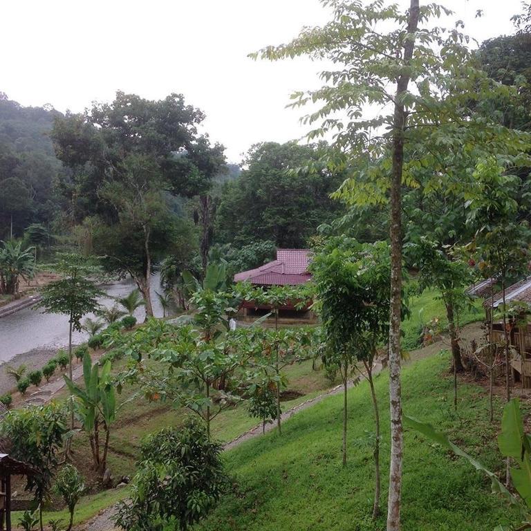 Hotel Batu Kapal Jungle Houses Berastagi Exterior foto