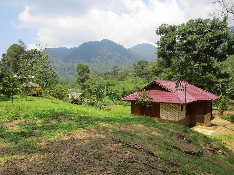 Hotel Batu Kapal Jungle Houses Berastagi Exterior foto